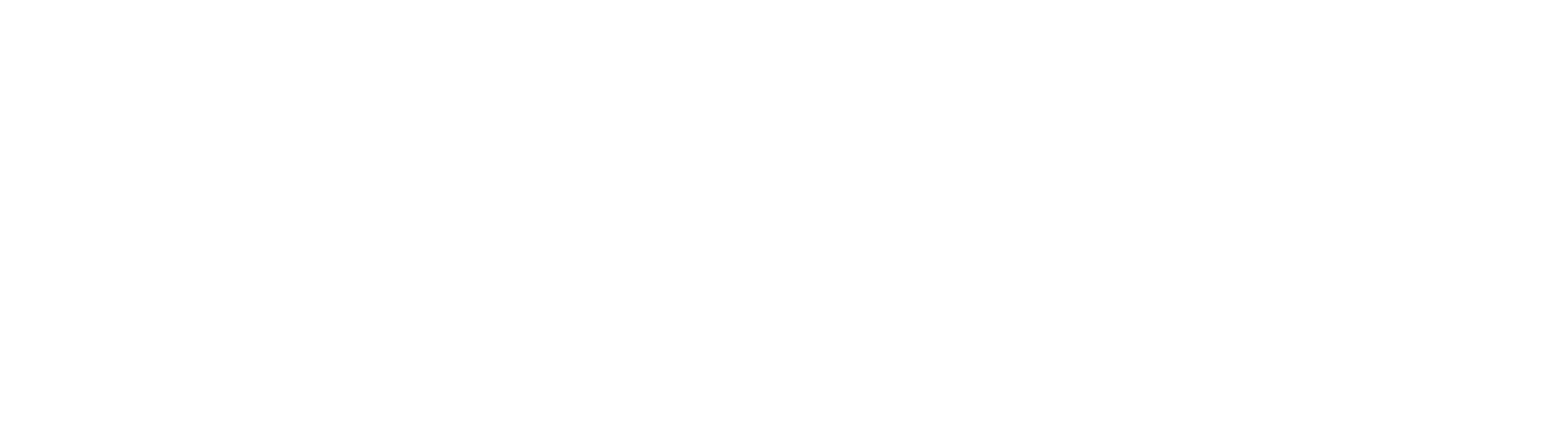 white_logo_transparent_background_cropped Envision Solutions Logo
